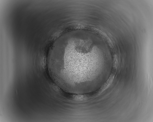 X0000103250230200809111622