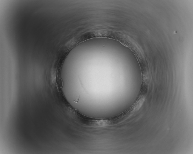 X0000103250233200809111621