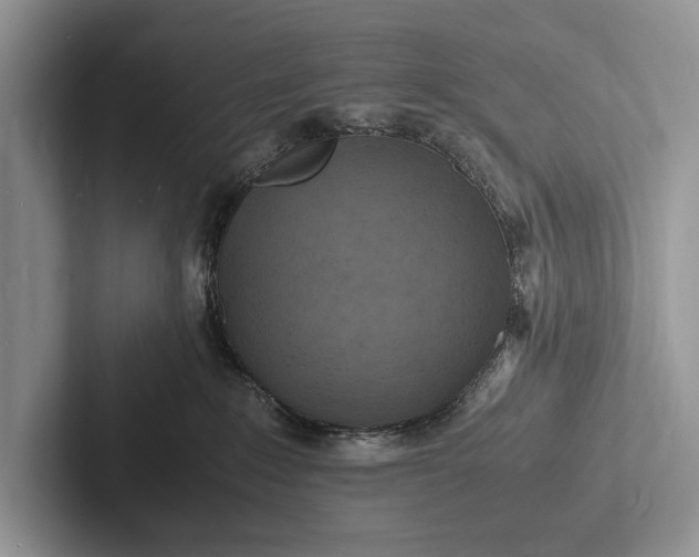 X0000103250235200809111621