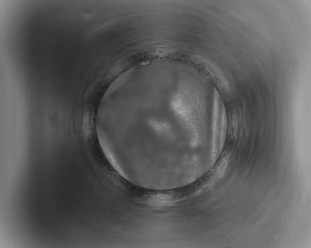 X0000103250236200809111621