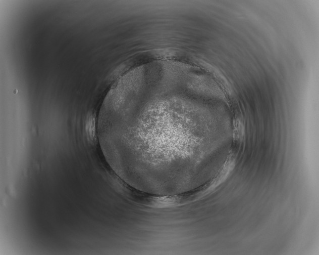 X0000103250238200809111621