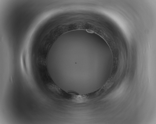 X0000103250239200809111621