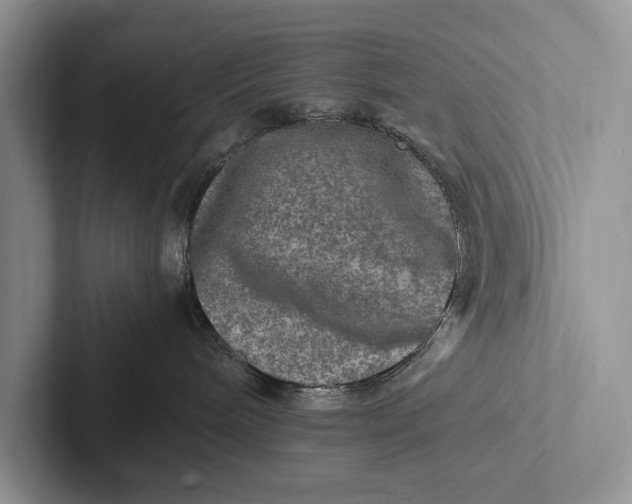 X0000103250240200809111621