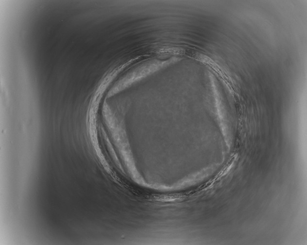 X0000103250241200809111621