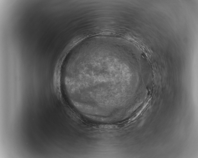 X0000103250242200809111621
