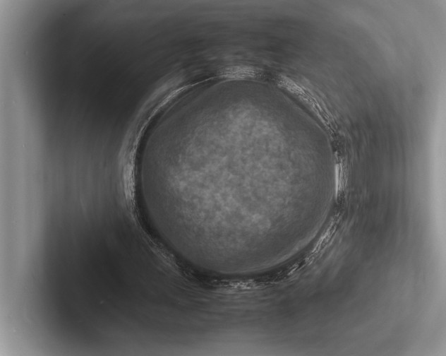 X0000103250243200809111621