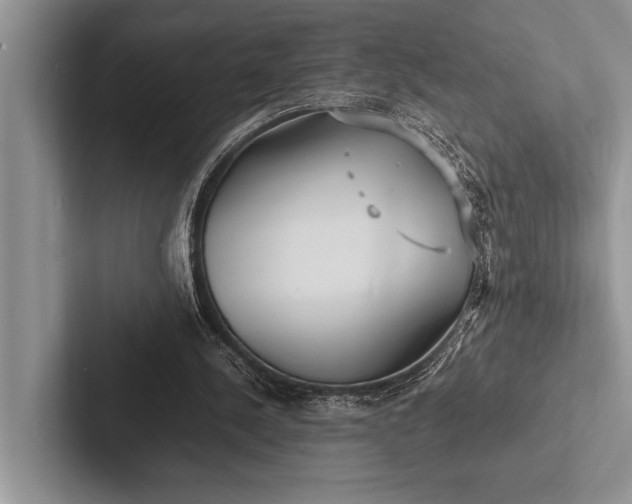 X0000103250244200809111621