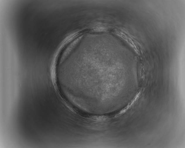 X0000103250245200809111621