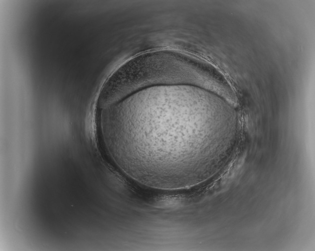 X0000103250248200809111621