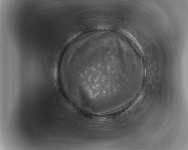 X0000103250249200809111621