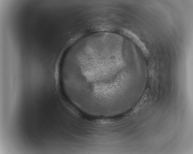 X0000103250250200809111621