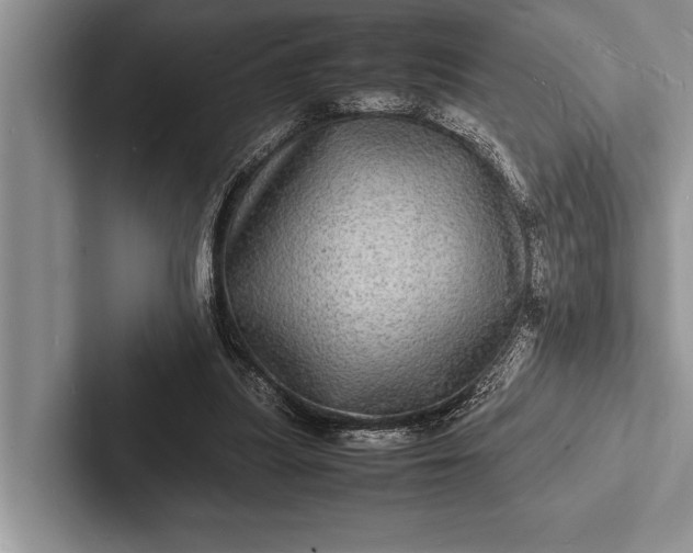 X0000103250251200809111621