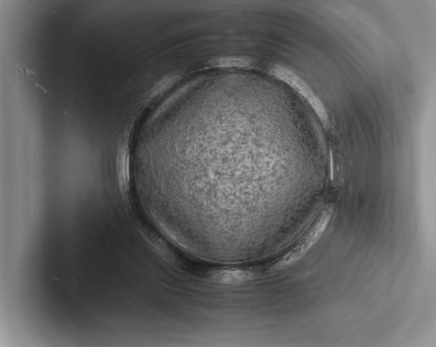 X0000103250253200809111621
