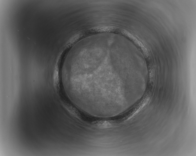X0000103250254200809111621