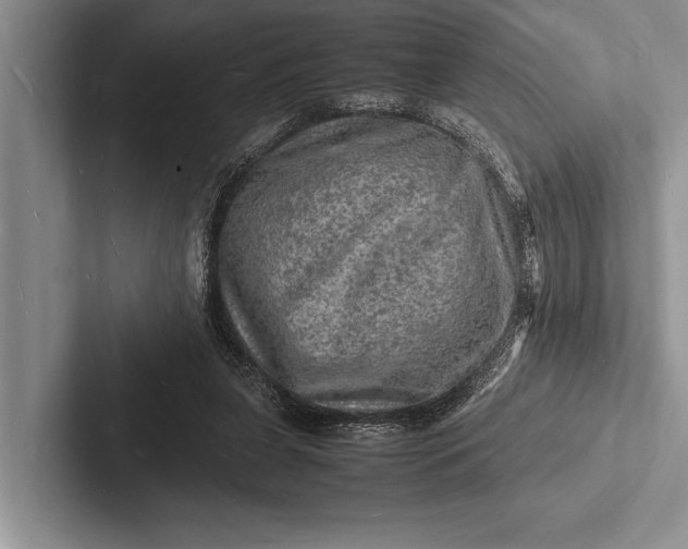 X0000103250255200809111621