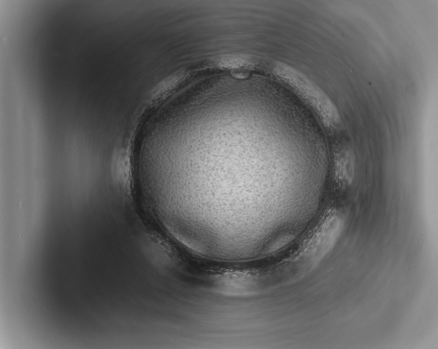 X0000103250256200809111621