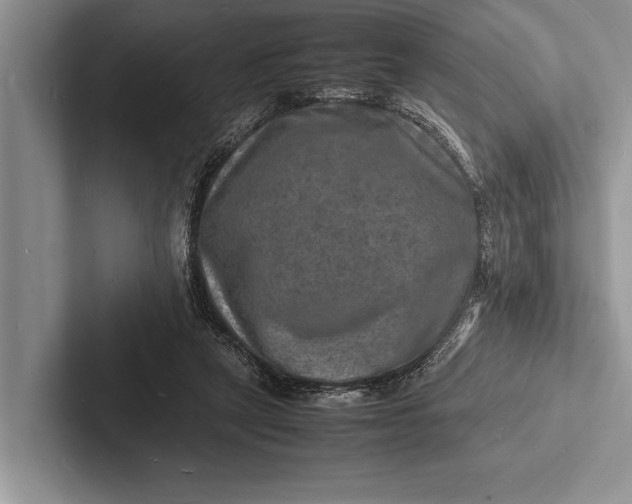 X0000103250257200809111621