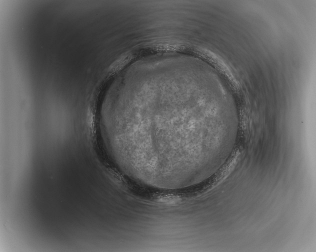 X0000103250258200809111621