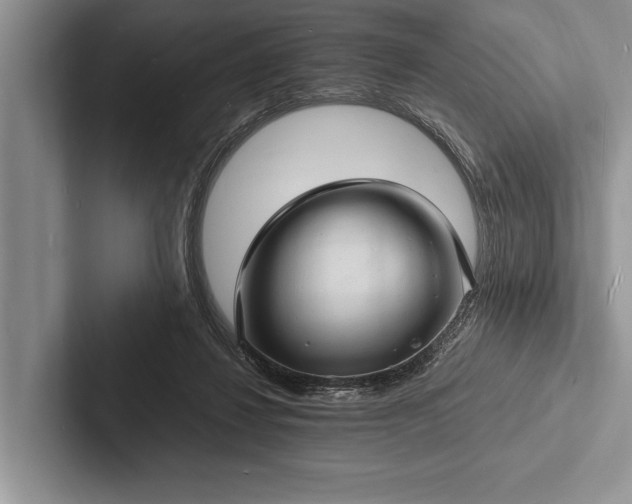 X0000103250260200809111621