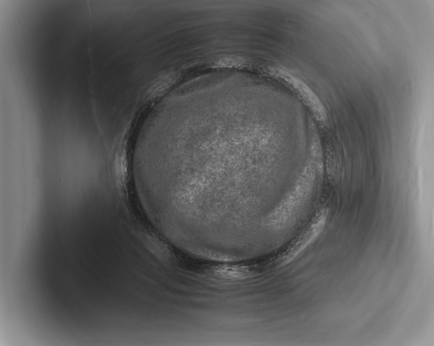X0000103250261200809111621
