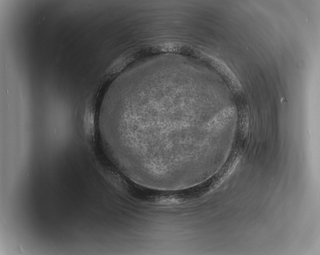 X0000103250262200809111621