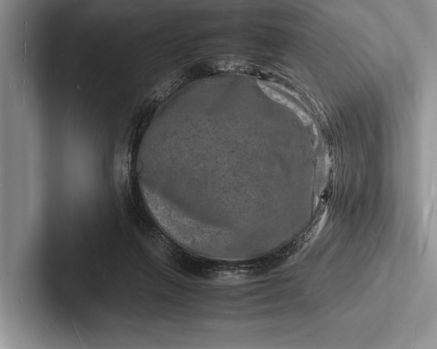 X0000103250263200809111621
