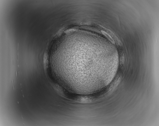 X0000103250264200809111621