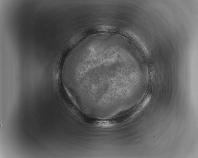 X0000103250265200809111621