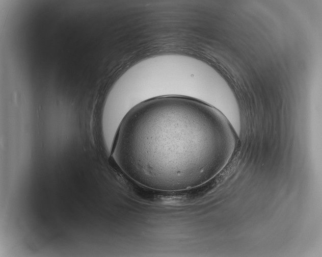 X0000103250268200809111621