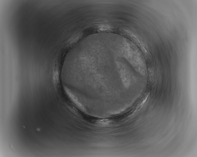 X0000103250269200809111621