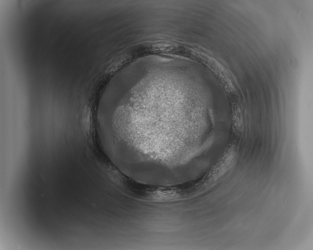 X0000103250270200809111621