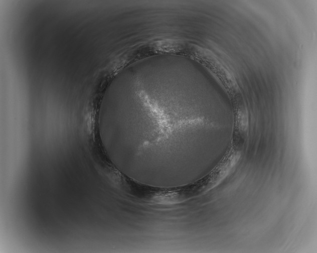 X0000103250271200809111621