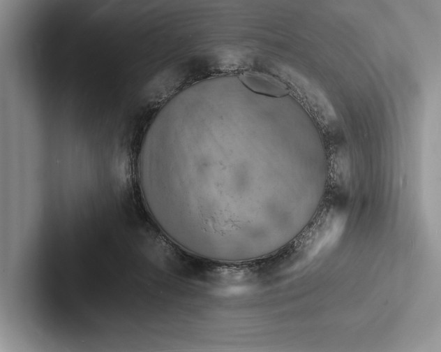 X0000103250272200809111621