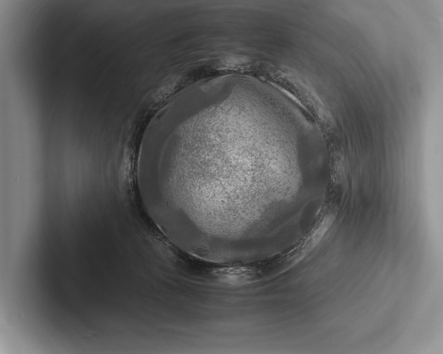 X0000103250273200809111621