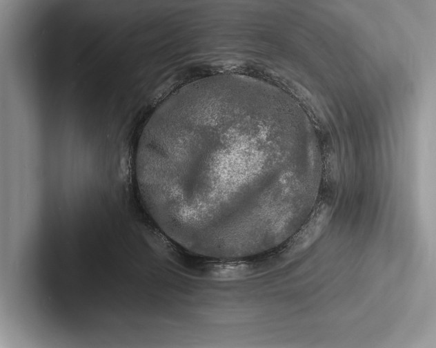 X0000103250274200809111621