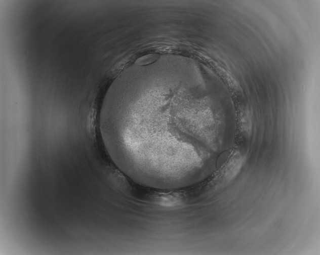 X0000103250275200809111621