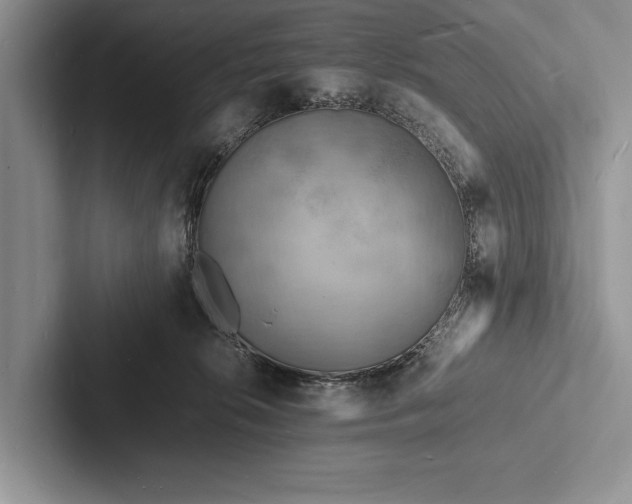 X0000103250276200809111621