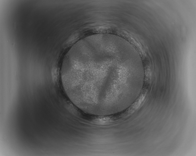X0000103250278200809111621