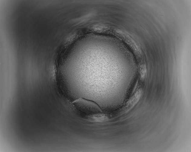 X0000103250279200809111621