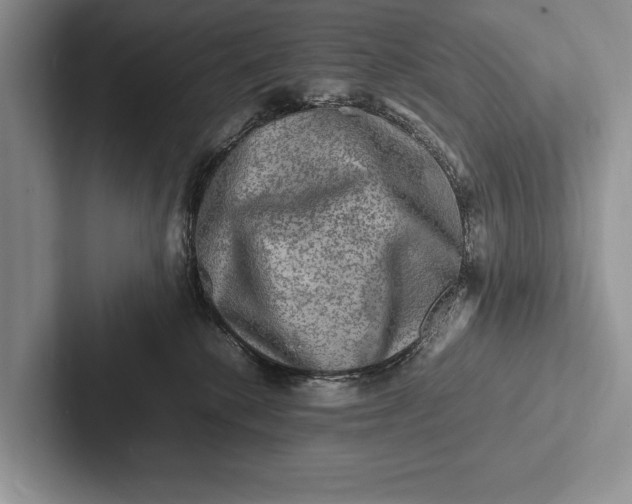 X0000103250280200809111621