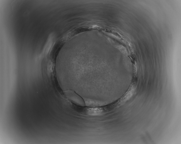 X0000103250281200809111621