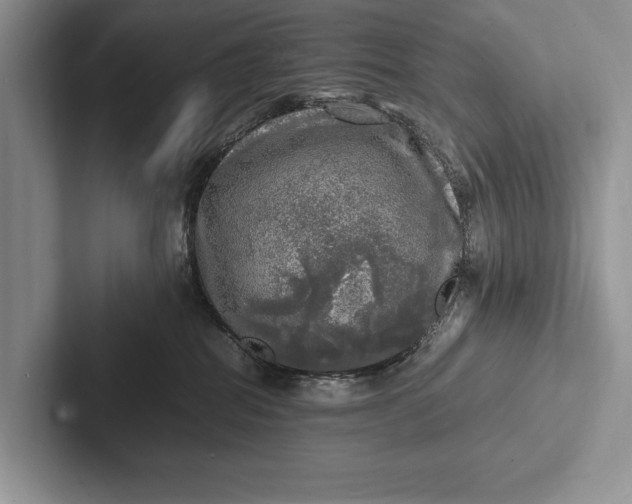 X0000103250282200809111621