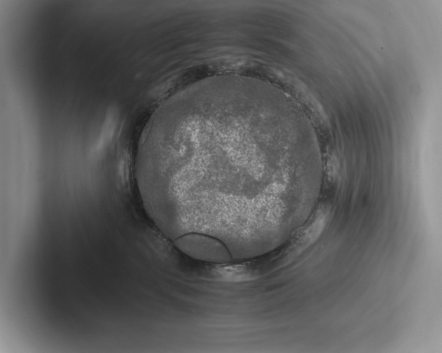 X0000103250283200809111621