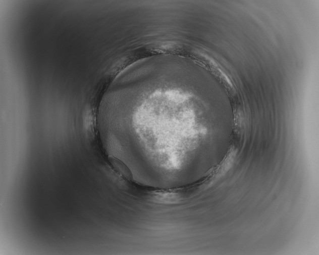 X0000103250284200809111621