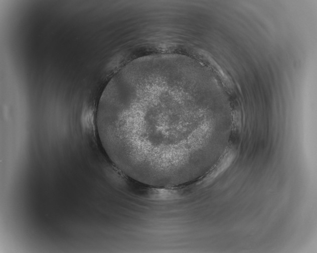 X0000103250286200809111621