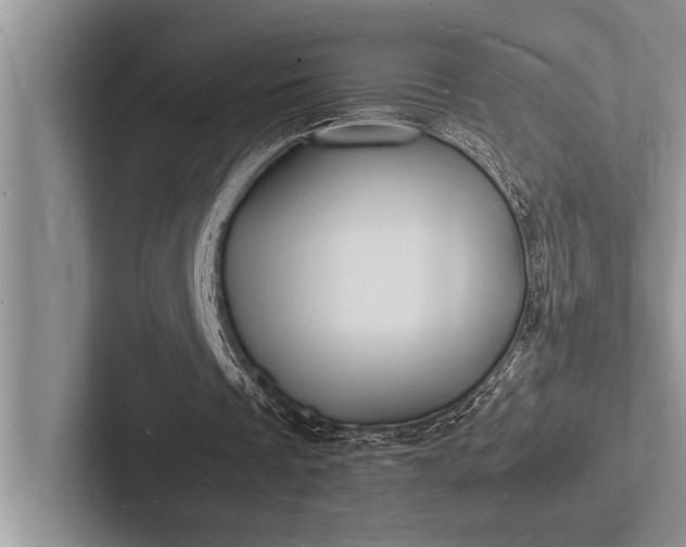 X0000103250289200809111621