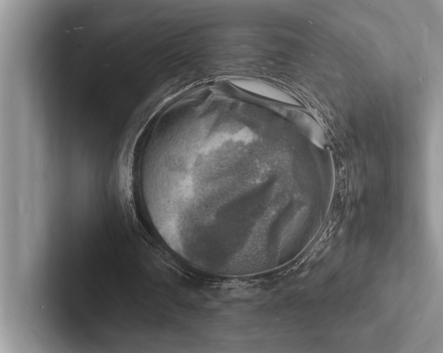 X0000103250290200809111621