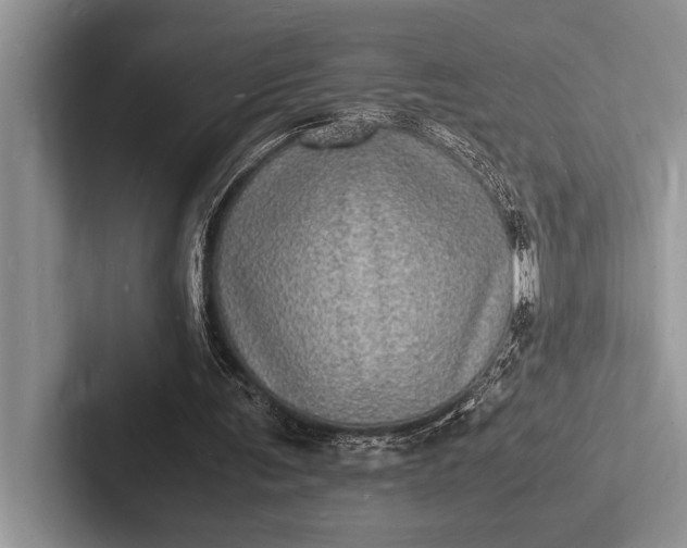 X0000103250291200809111621