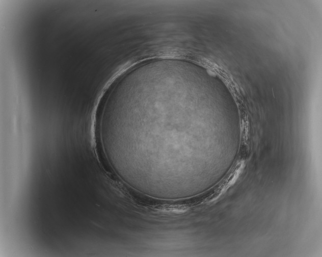 X0000103250292200809111621