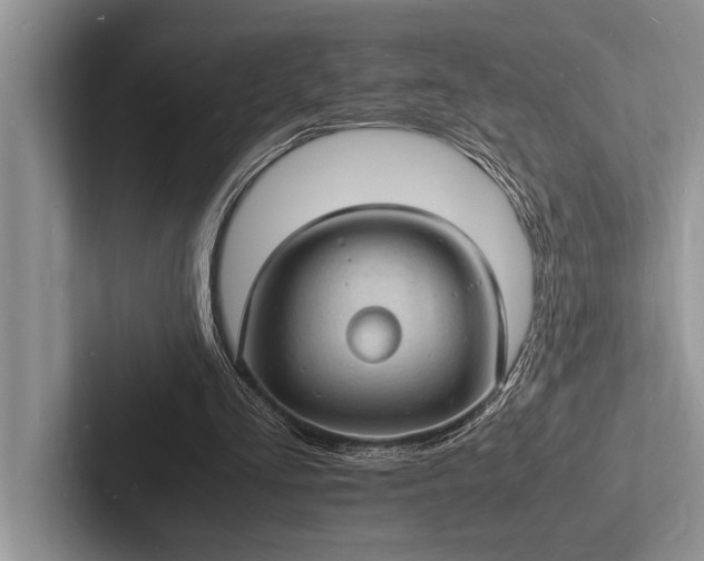 X0000103250293200809111621